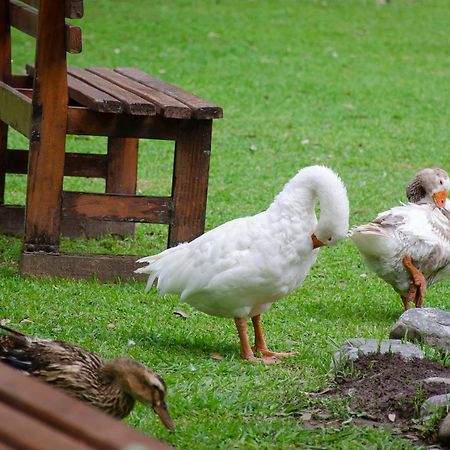 Finca El Milagro Ла-Сильета Экстерьер фото